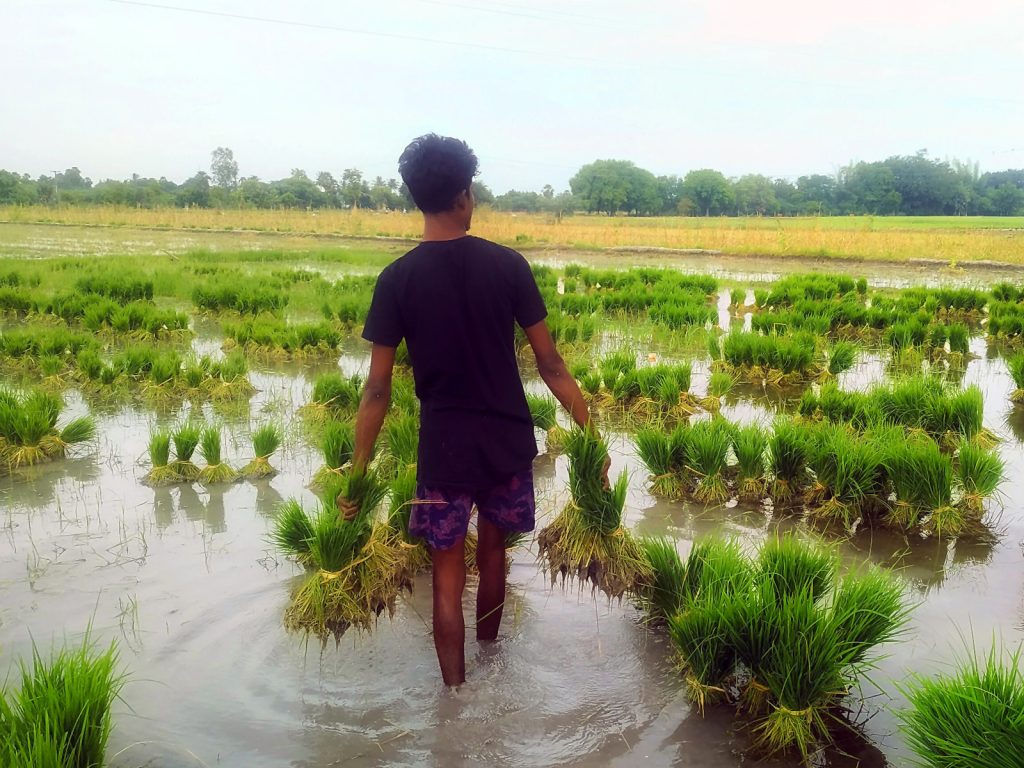 Farmer